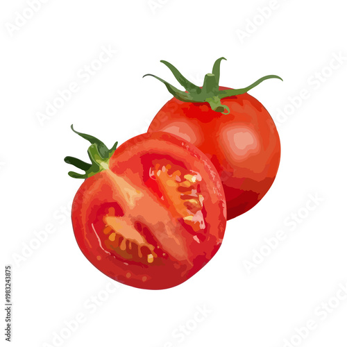 Sliced red tomatoes illustration. sliced tomatoes PNG transparent background. Juicy Tomato Slice drawing clipart. Fresh Red Tomato Illustration for Food Design