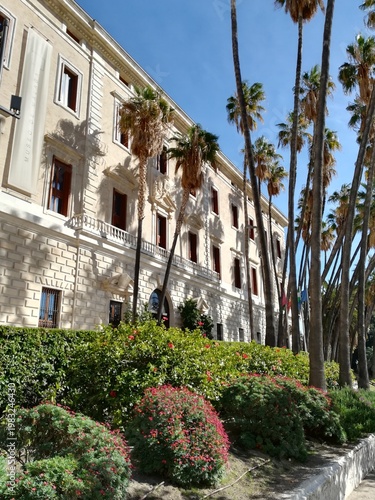 Palms and building, Malaga, Spain