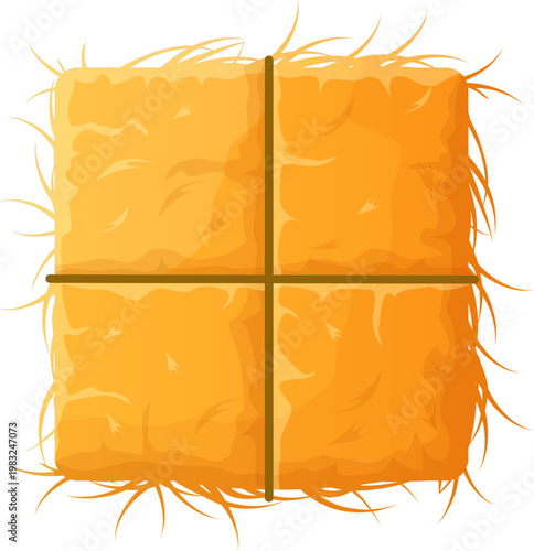 Dried hay bale in square bundle for farm animal feed isolated on white