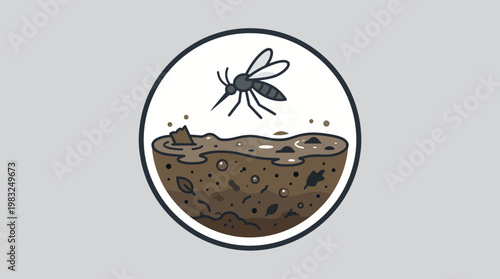 Mosquito lifecycle represented in an illustration showing a mosquito hatching from its larvae in dirty water and mud