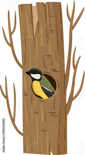 Small bird nesting inside a tree cavity as an illustration on white background