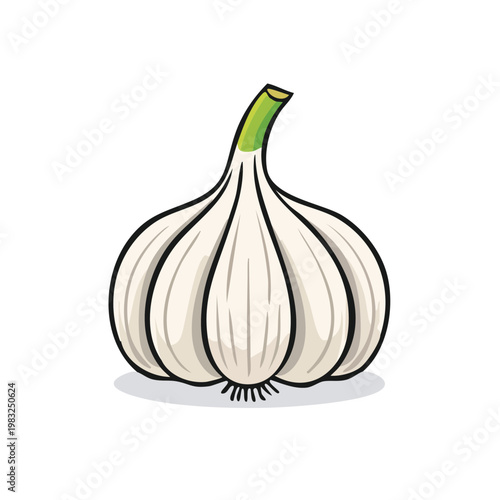 Fresh White Garlic Bulb with Green Sprout and Textured Layers