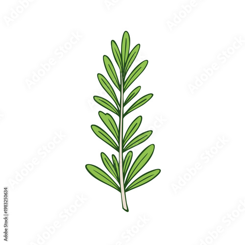 Hand-drawn illustration of a green rosemary sprig with narrow leaves