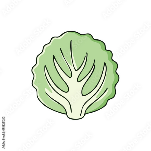 Fresh green lettuce leaf with veins isolated on white background in cartoon style