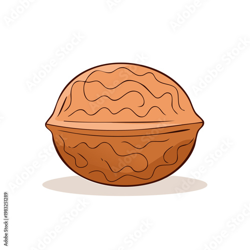 Hand drawn illustration of a whole walnut nut with its textured shell and wavy lines