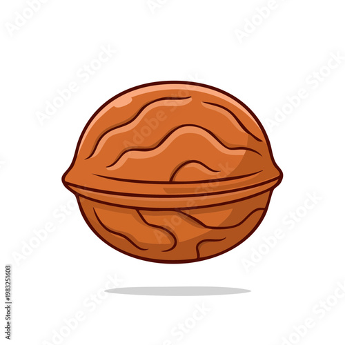 Illustration of a single, whole walnut nut with textured shell and a subtle shadow
