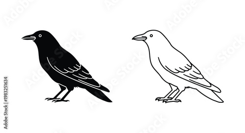 Black and White Bird Illustrations - Minimalist Crow and Raven Art Vector