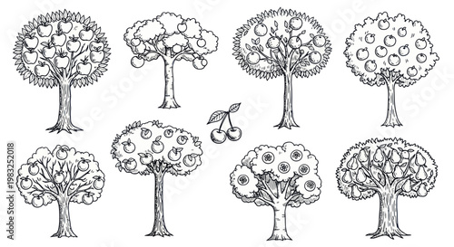 Hand-Drawn Fruit Trees Collection: Apples, Cherries, Pears, and More