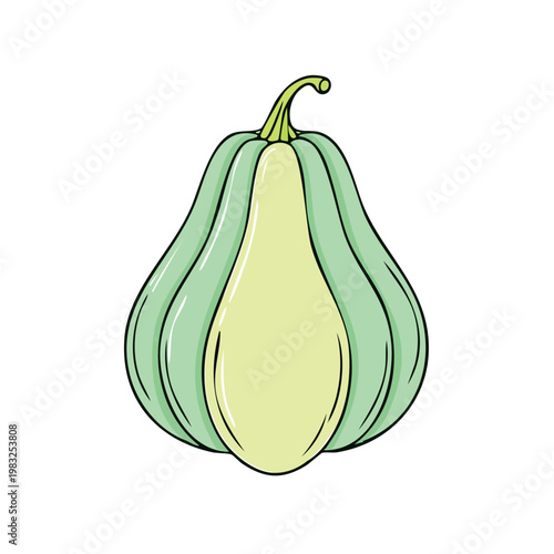 Pear shaped green and yellow squash isolated on white background, simple cartoon illustration