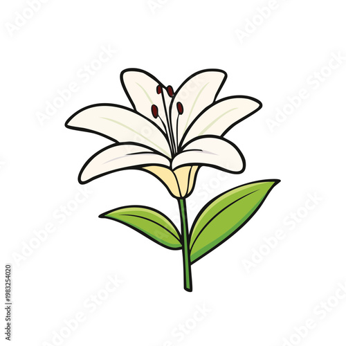 Elegant white lily flower with green stem and leaves in a simple cartoon illustration style