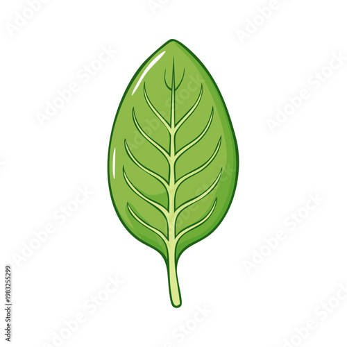 Single vibrant green spinach leaf illustration with visible veins and stem isolated on white