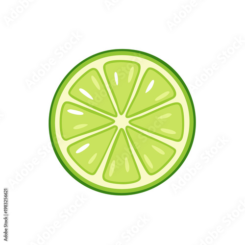 Vibrant Green Lime Slice with Juicy Segments and Outer Peel Illustration