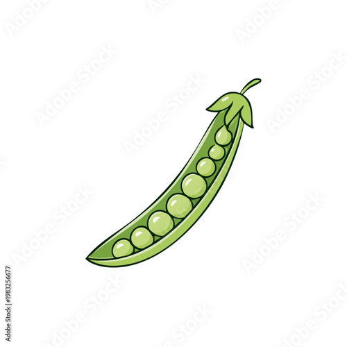 Green pea pod with plump peas inside a cartoon illustration