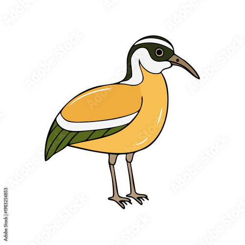 Adorable cartoon bird illustration standing on slender legs with distinctive markings and a curved beak
