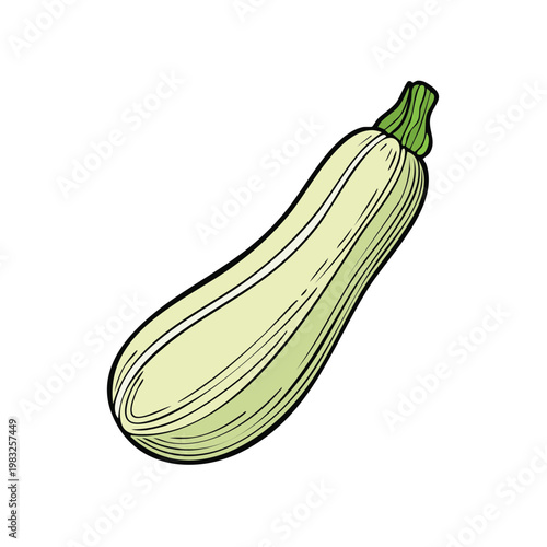 One isolated light green zucchini squash with a green stem on a white background