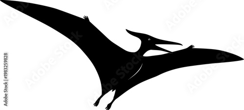 Black silhouette of a pterosaur flying with outstretched wings isolated on white background
