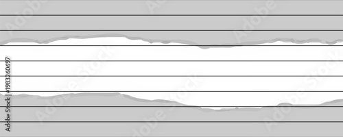 Ripped paper. Vector of ripped paper. the paper was ripped background. llustration eps 10