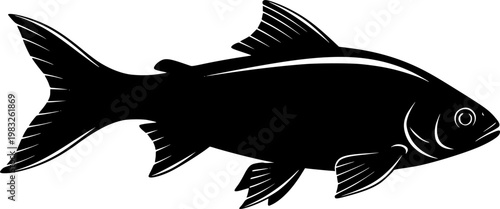 Black silhouette of a fish swimming isolated on white background
