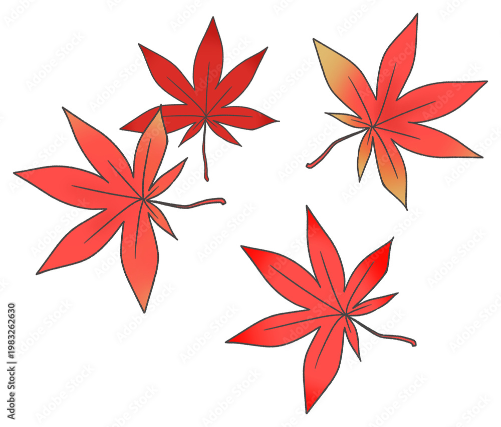 Obraz premium Red autumn maple leaves set with hand drawn style