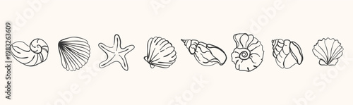 Seashell line art set. Hand drawn shell, starfish, and nautilus elements in a minimal style for branding, packaging, social media templates, invitations, coastal themed designs. Vector illustration