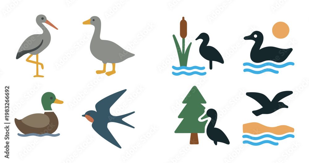 Fototapeta premium Various water and woodland birds illustrated as icons