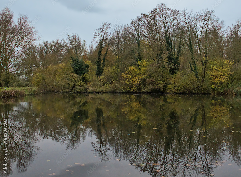 Obraz premium dark pool with autumn trees reflecting in the water on a cloudy day in Bourgoyen nature reserve, Ghent, Flanders, Belgium 