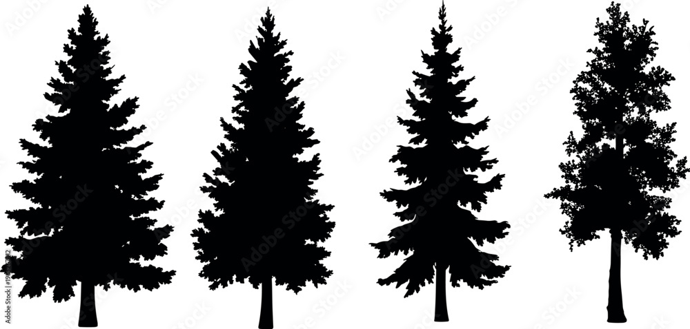 Fototapeta premium Silhouette set of detailed pine and deciduous trees isolated on white background, forest nature elements for landscape design and outdoor scenery
