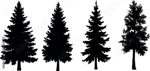 Silhouette set of detailed pine and deciduous trees isolated on white background, forest nature elements for landscape design and outdoor scenery