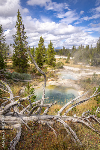 West Thumb Geyser Basin, Yellowstone Lake, Yellowstone National Park, Wyoming, USA