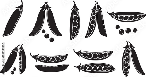 Set of pea pod silhouettes and green pea icons. Vector illustration of healthy vegetables isolated on white background.
