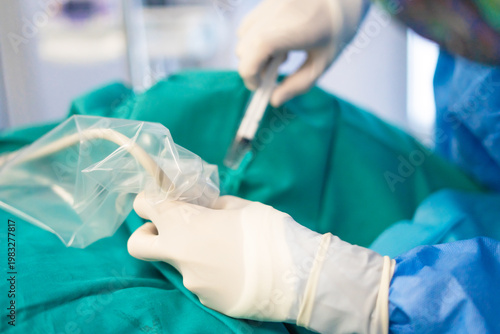 Surgeon hands performing medical procedure with ultrasound probe