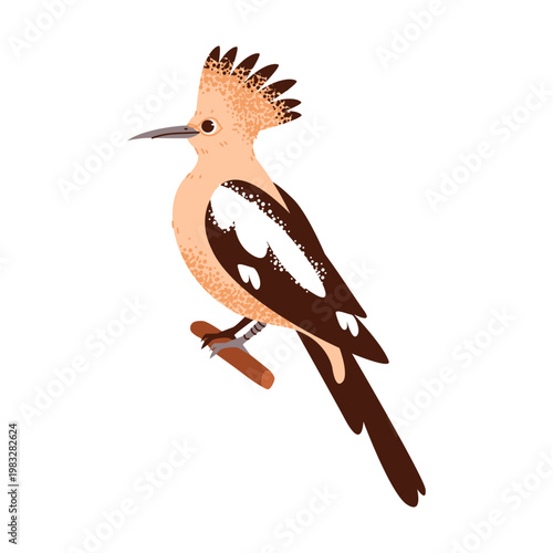 Flat vector illustration of a hoopoe bird with distinctive crest and long beak perched on branch in minimal style.