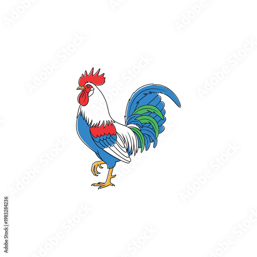 Colorful Rooster Bird Animal Illustration.