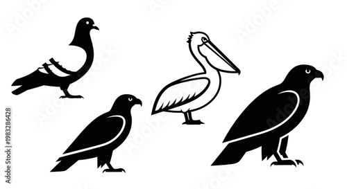 Bird Silhouettes Collection: Pigeon, Pelican, and Eagles on White Background