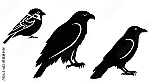 Bird Silhouettes Collection: Sparrow, Hawk, and Crow Wildlife Vector Icons