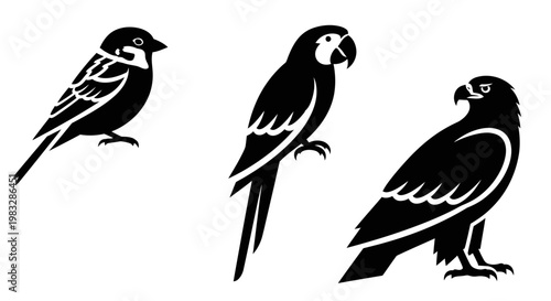 Bird Silhouettes Collection: Sparrow, Parrot, and Eagle Icons