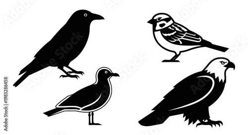 Bird Silhouettes Set: Crow, Sparrow, Seagull, Eagle Icons