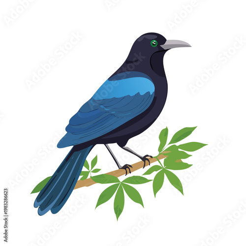 Vibrant illustration of a perched bird with blue and black plumage on a branch