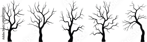 Collection of abstract leafless tree silhouettes, black isolated branches set, minimalist nature design elements for winter landscape illustration and graphic use