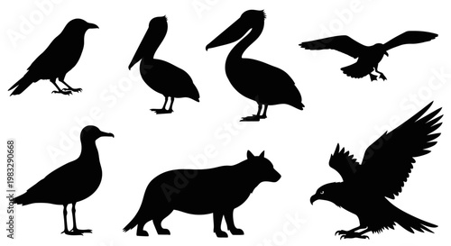 Black Animal and Bird Silhouettes Collection on White Background
