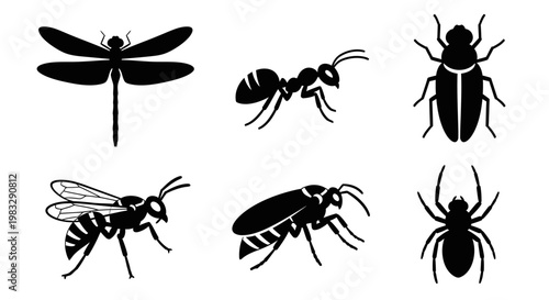 Collection of Insect and Spider Silhouettes on White Background