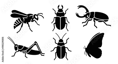 Collection of insect silhouettes: beetle, wasp, grasshopper, and butterfly icons
