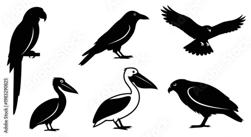 Collection of various bird silhouettes in black and white, featuring different species