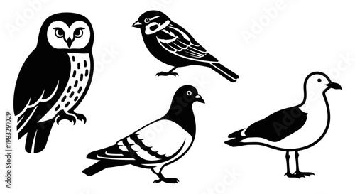 Diverse Bird Silhouettes Collection: Owl, Sparrow, Pigeon, and Seagull Graphic Illustrations
