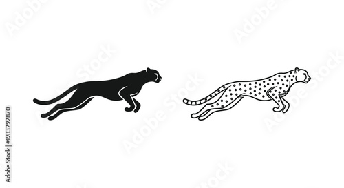 Black Leopard vs Cheetah: Speed & Spot Comparison Vector