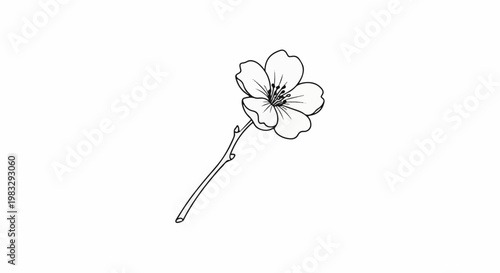 Delicate outline drawing of a single blooming flower on a stem