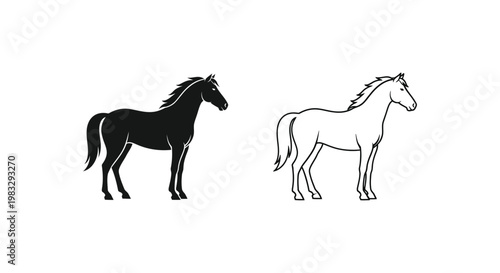 Black vs White Horse Breed Comparison Guide Vector