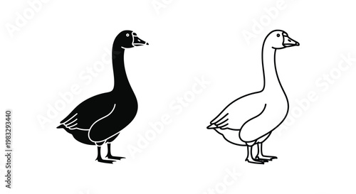 BlackAndWhiteGeeseComparisonVisualGuide Vector