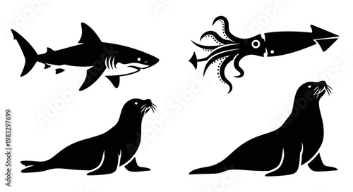 Marine Animals Silhouettes: Shark, Squid, and Seals Vector Set