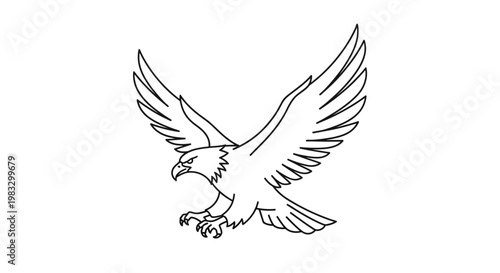 Eagle flying with outstretched wings soaring.